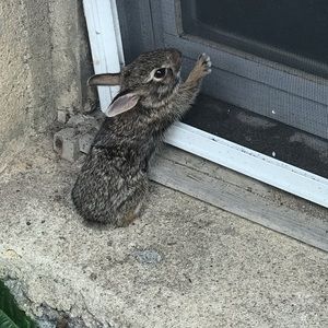 Meet your Posher, Erika